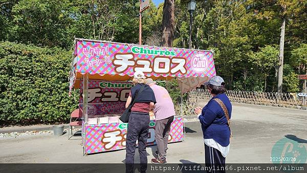 鐮倉八幡宮20250326_100051.jpg