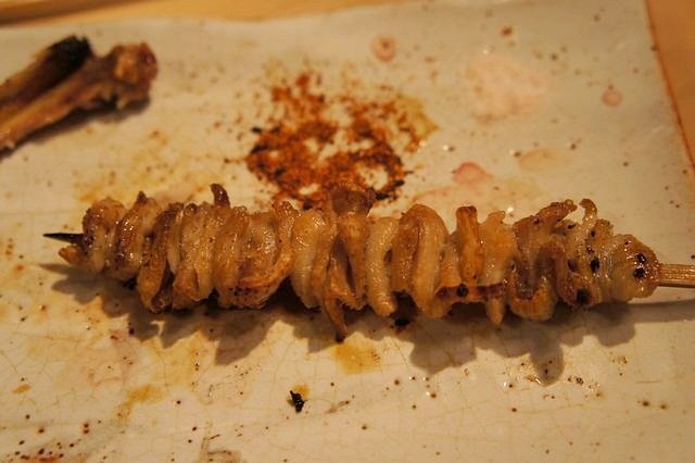 tn_DSC03803.JPG
