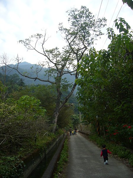 P1080794.JPG