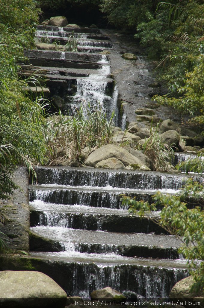 DSC01997