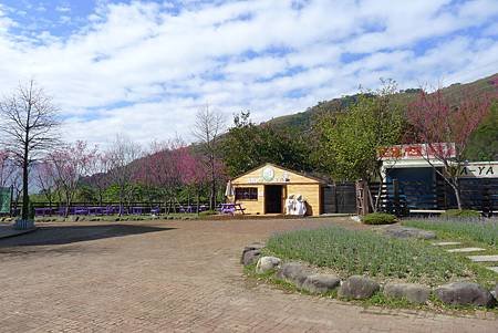 P1050818