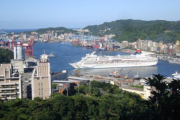 基隆黑鳶-老鷹