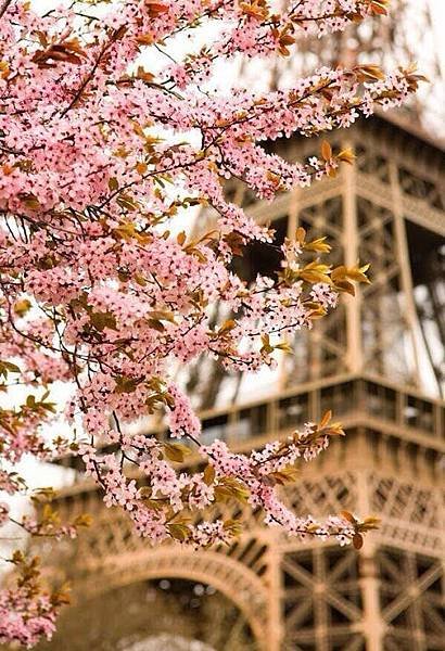 Primavera en París