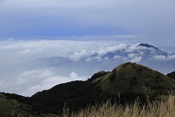 _MG_3465.JPG