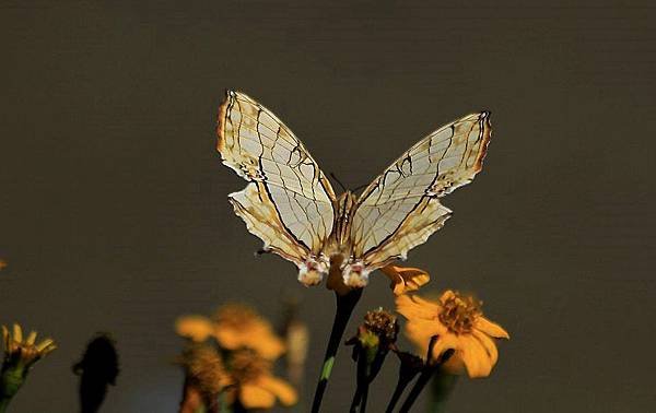 _MG_3750.jpg