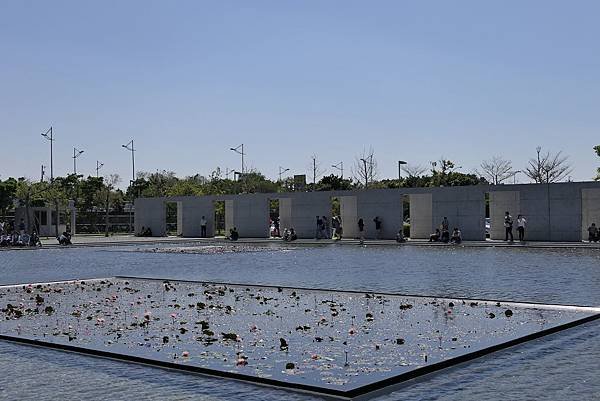 P1050608.jpg
