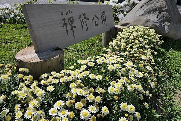 P1050637.jpg
