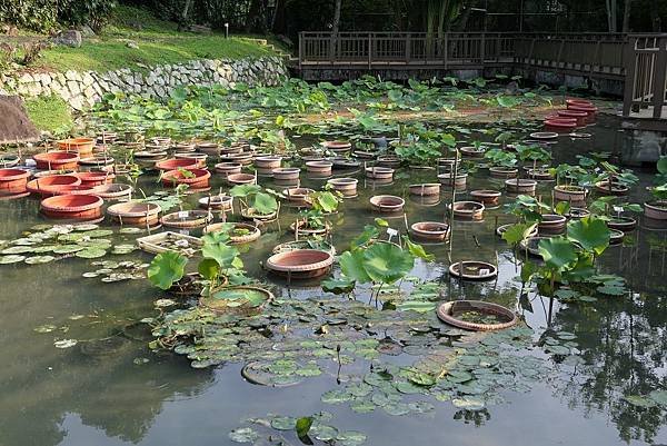 P1200281.jpg