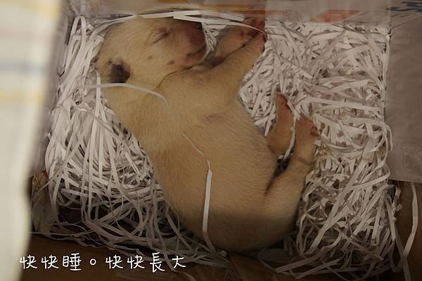 DSC00718.JPG