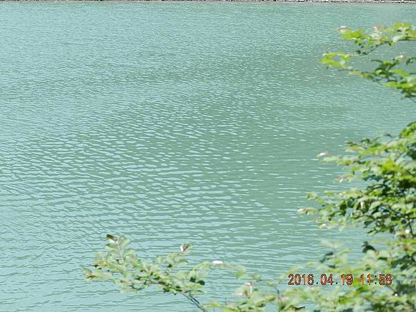 DSCN8960.JPG