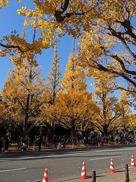 2023東京紅葉行-Day4