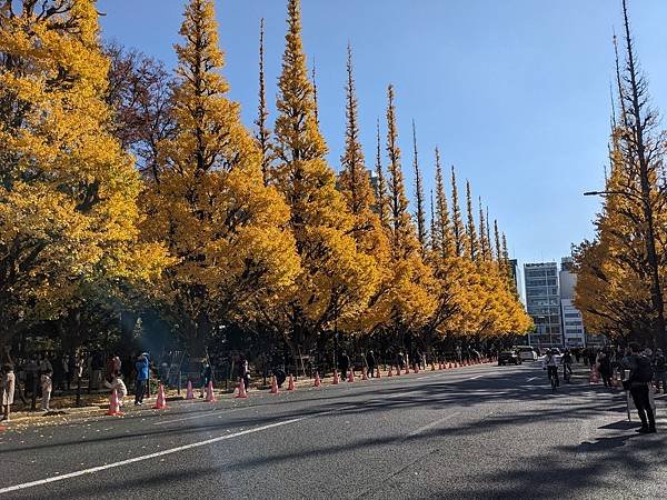 2023東京紅葉行-Day4