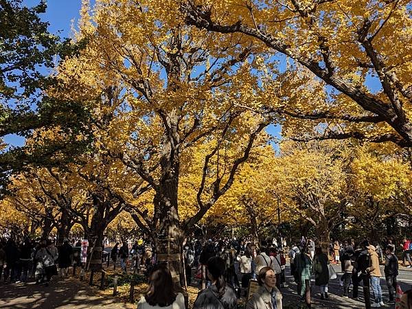 2023東京紅葉行-Day4