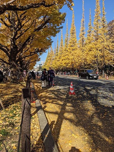 2023東京紅葉行-Day4