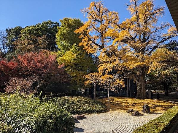 2023東京紅葉行-Day5