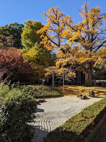 2023東京紅葉行-Day5