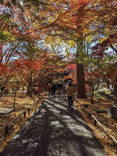 2023東京紅葉行-Day5