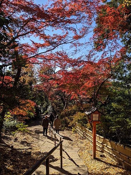 2023東京紅葉行-Day5