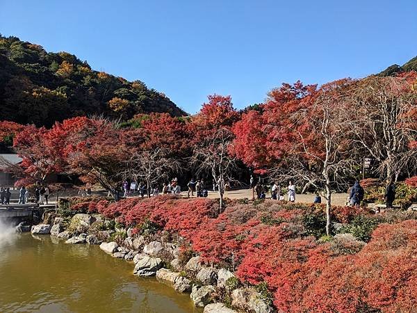 京阪滋賀紅葉行-Day2
