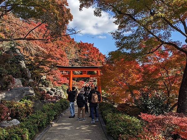 京阪滋賀紅葉行-Day2