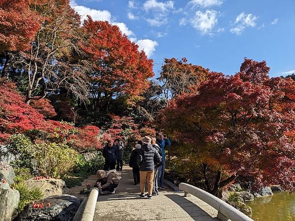 京阪滋賀紅葉行-Day2