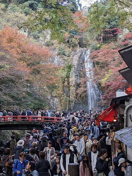 京阪滋賀紅葉行-Day2