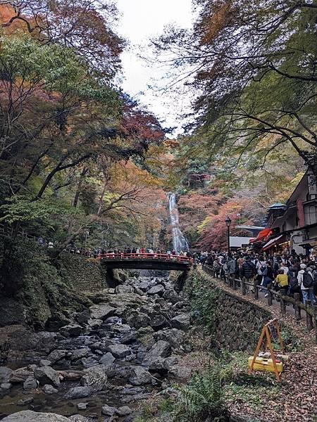 京阪滋賀紅葉行-Day2