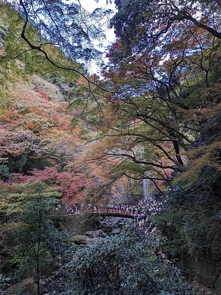 京阪滋賀紅葉行-Day2
