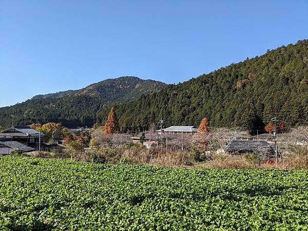 京阪滋賀紅葉行-Day3