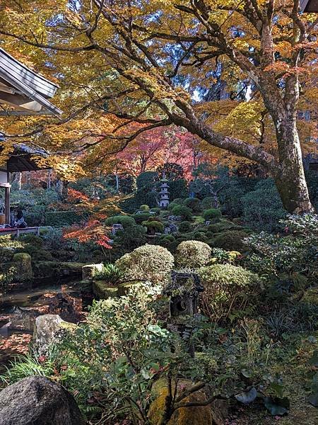 京阪滋賀紅葉行-Day3