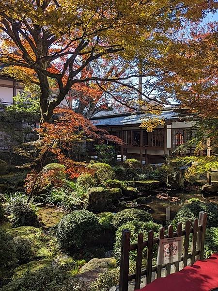 京阪滋賀紅葉行-Day3