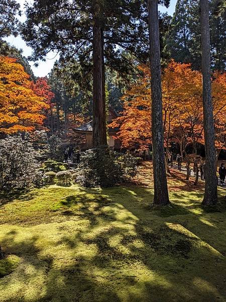 京阪滋賀紅葉行-Day3