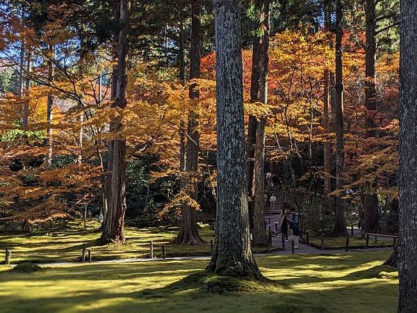 京阪滋賀紅葉行-Day3