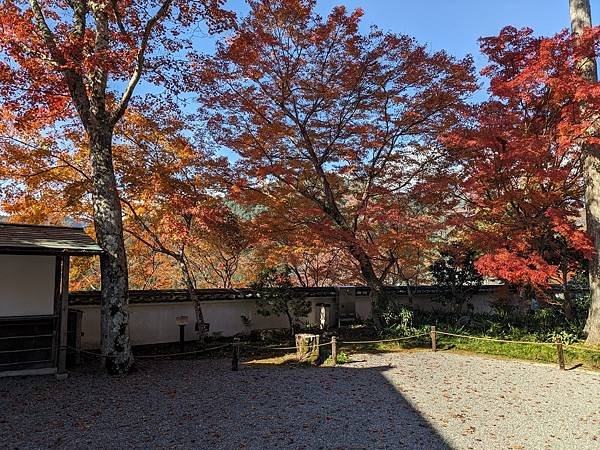 京阪滋賀紅葉行-Day3
