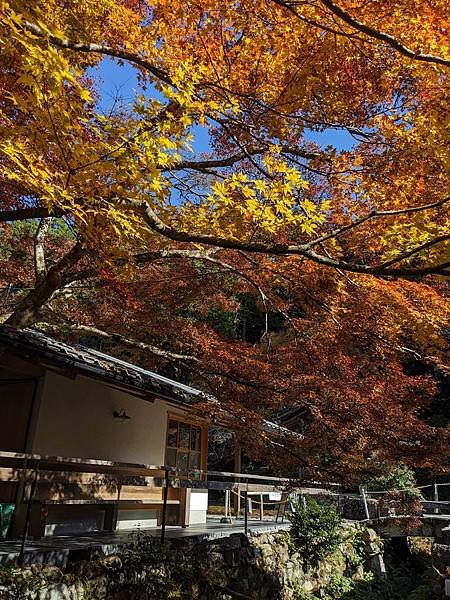 京阪滋賀紅葉行-Day3