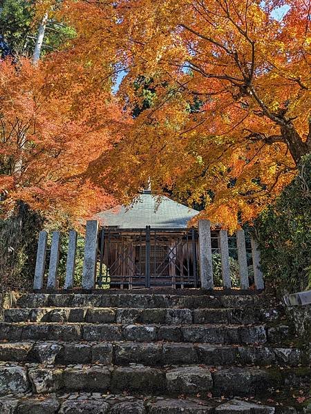 京阪滋賀紅葉行-Day3