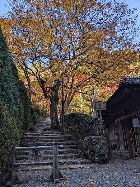 京阪滋賀紅葉行-Day3