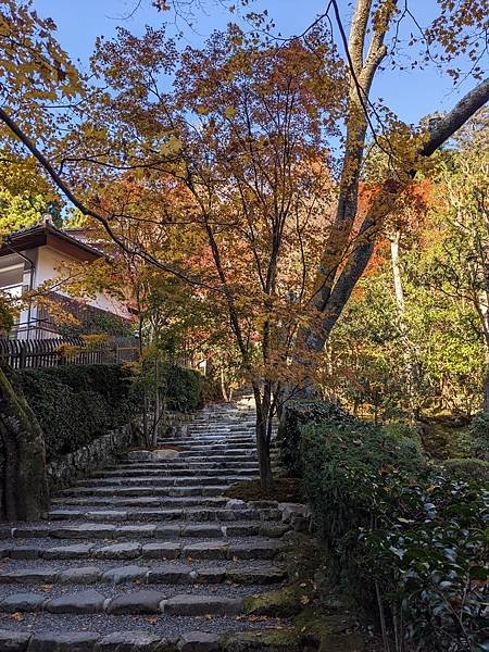 京阪滋賀紅葉行-Day3