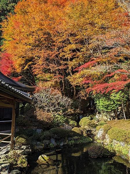 京阪滋賀紅葉行-Day3