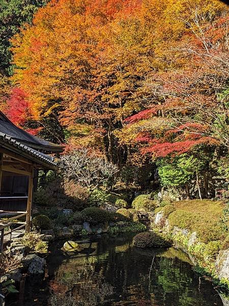 京阪滋賀紅葉行-Day3