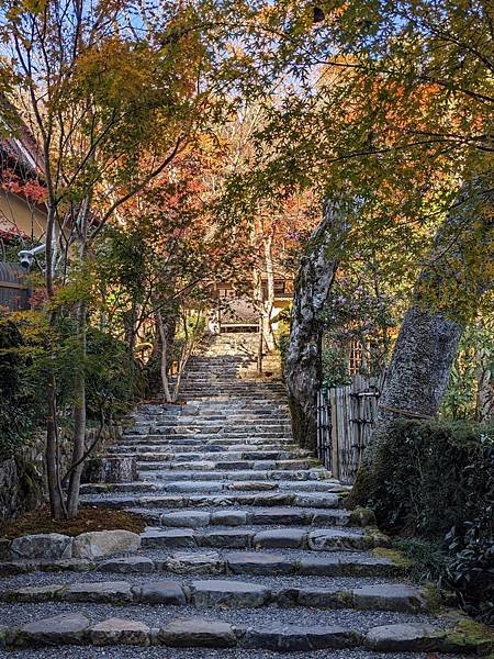 京阪滋賀紅葉行-Day3