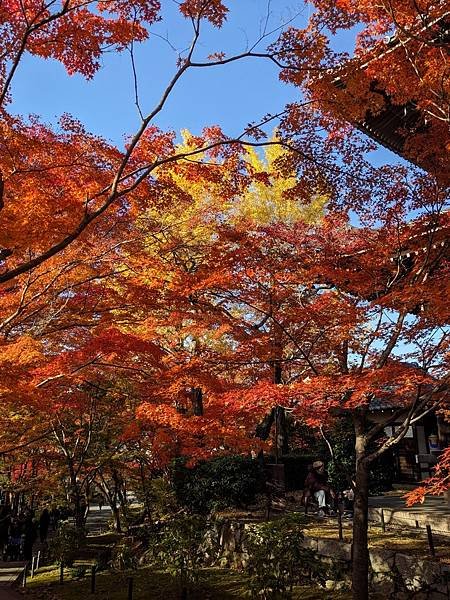 京阪滋賀紅葉行-Day3