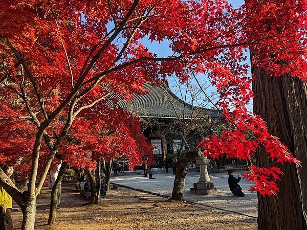 京阪滋賀紅葉行-Day3