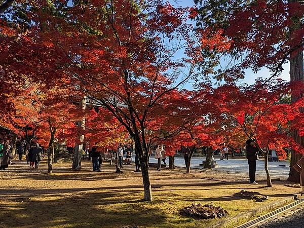 京阪滋賀紅葉行-Day3