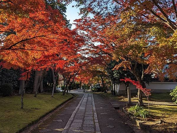 京阪滋賀紅葉行-Day3
