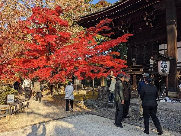 京阪滋賀紅葉行-Day3