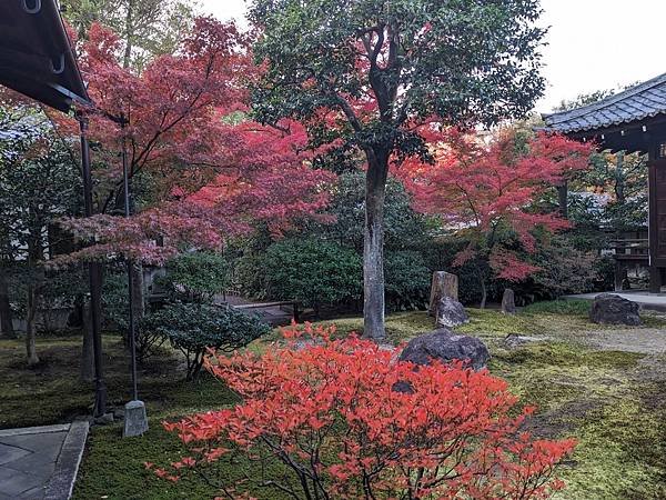 京阪滋賀紅葉行-Day3