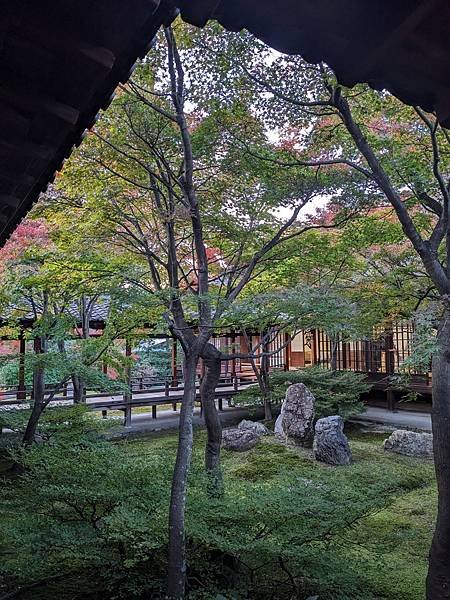 京阪滋賀紅葉行-Day3