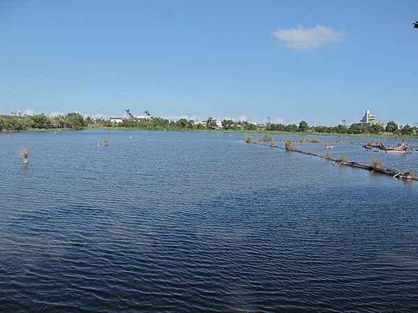 20100921羅東林業文化園區 (76).JPG