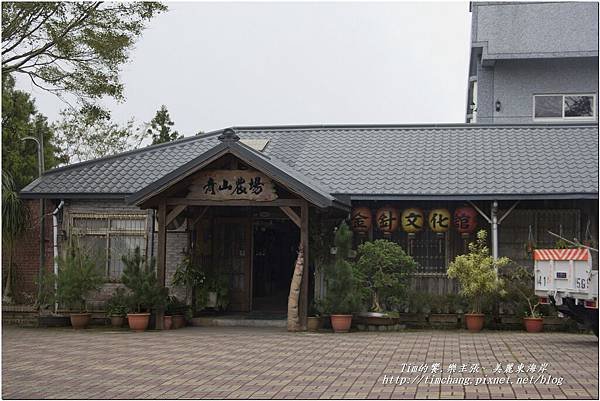 太麻里金針山 (19)